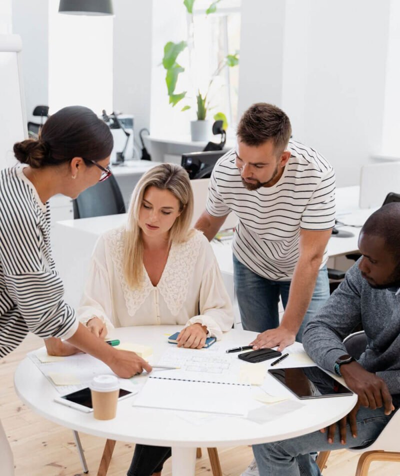 Business Project Development